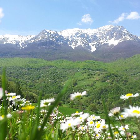 Willa La Via Del Parco Arsita Zewnętrze zdjęcie