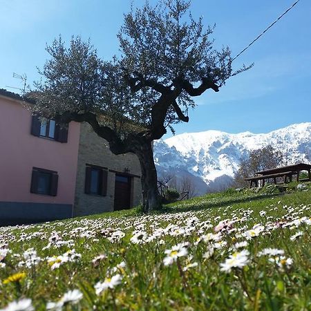 Willa La Via Del Parco Arsita Zewnętrze zdjęcie
