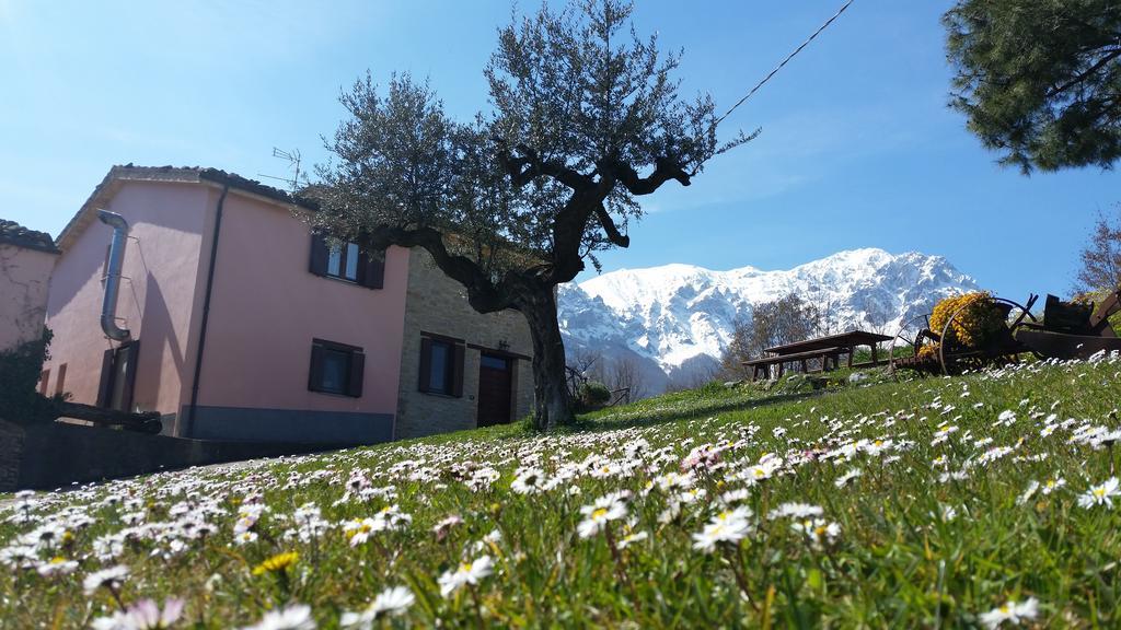 Willa La Via Del Parco Arsita Zewnętrze zdjęcie